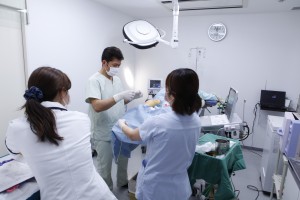 去日本看病之日本北青山D专科医院（激光治疗下肢静脉扩张、静脉瘤全日本第一）